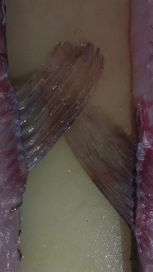 谁相信这是我第一次操刀生鱼片 灰姐家的厨房的做法 步骤6