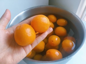 酸杏酵素（杏子酒）的做法 步骤4