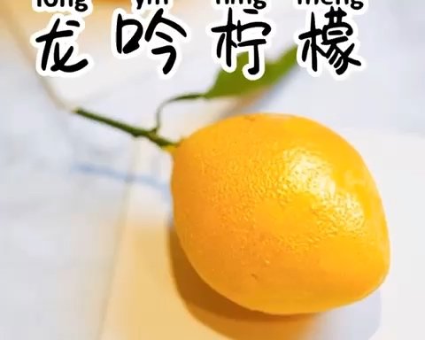 仿真柠檬—法国母校同门大师兄水果哥Cédric 配方的做法