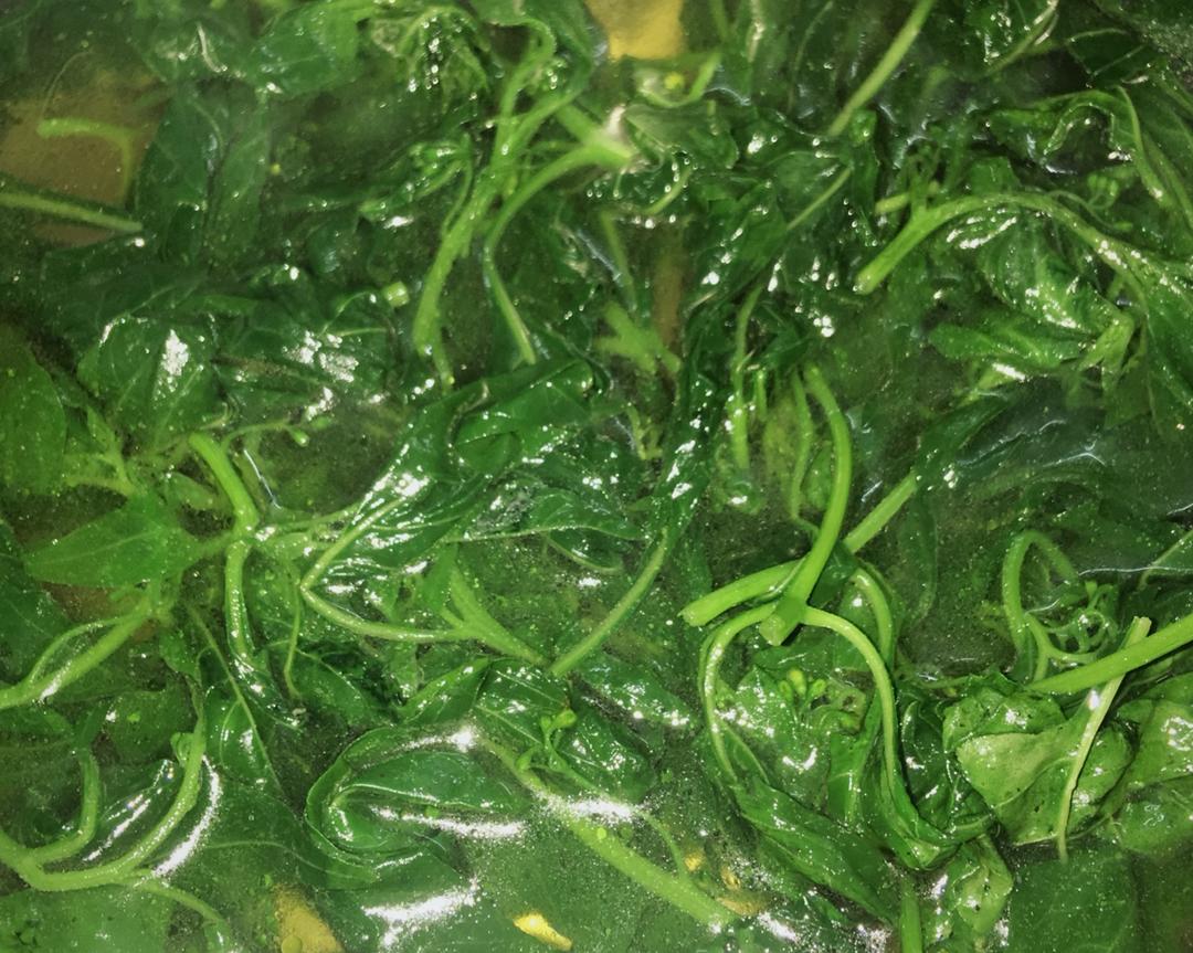 用料                                     野生白花菜