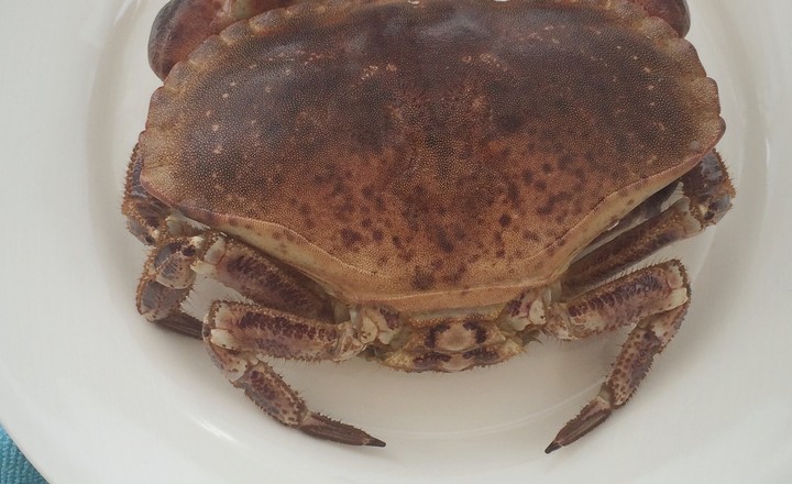 【咖喱面包蟹的做法步骤图,咖喱面包蟹怎么做