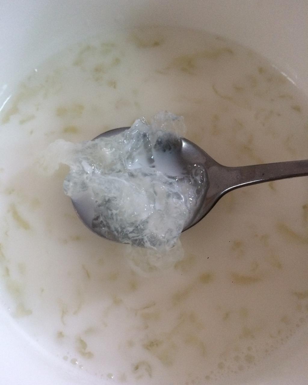 肥嘉儿做的牛奶燕窝