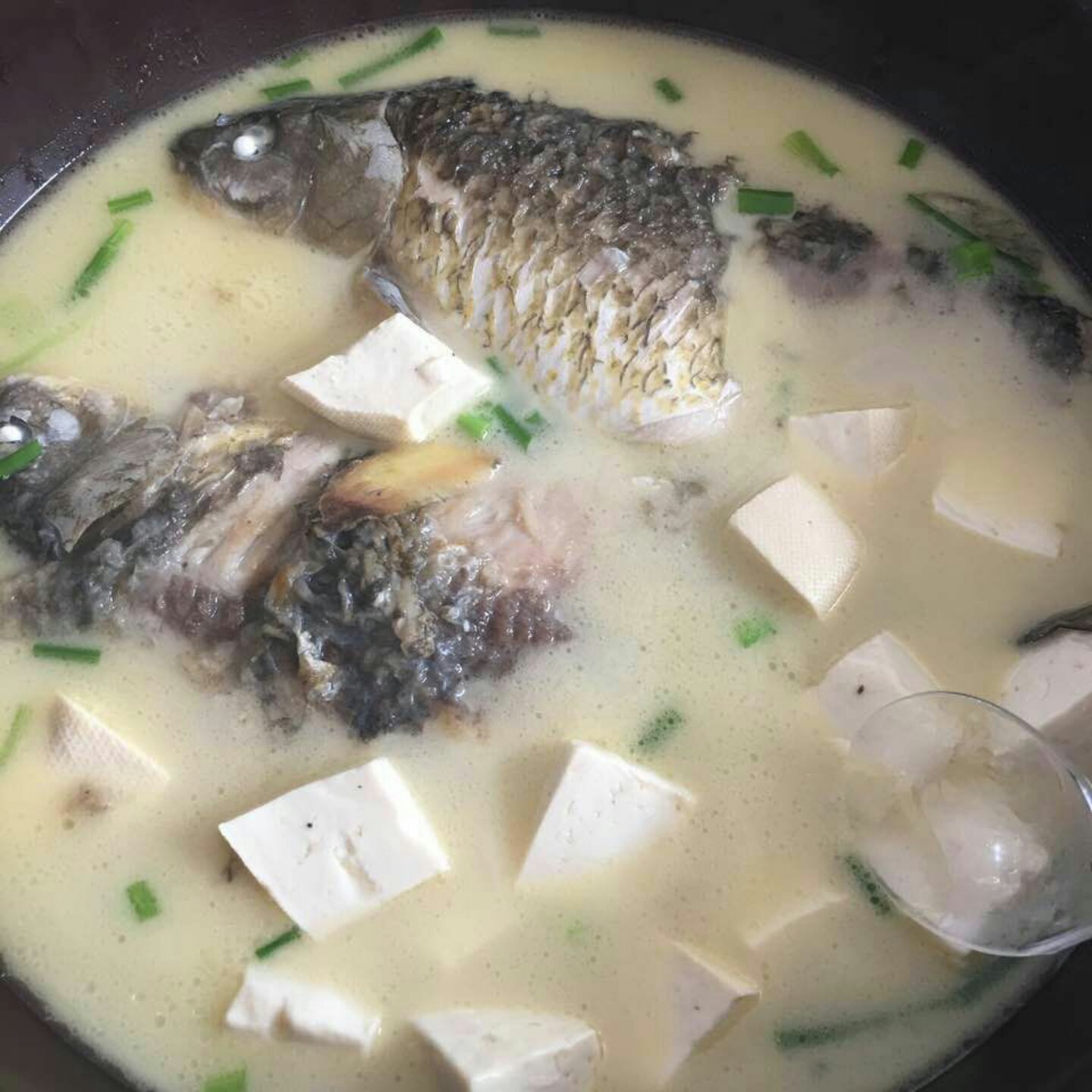 欣文要当厨神做的鲫鱼豆腐汤