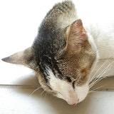 啊呜.jpg E路拾缘.jpg