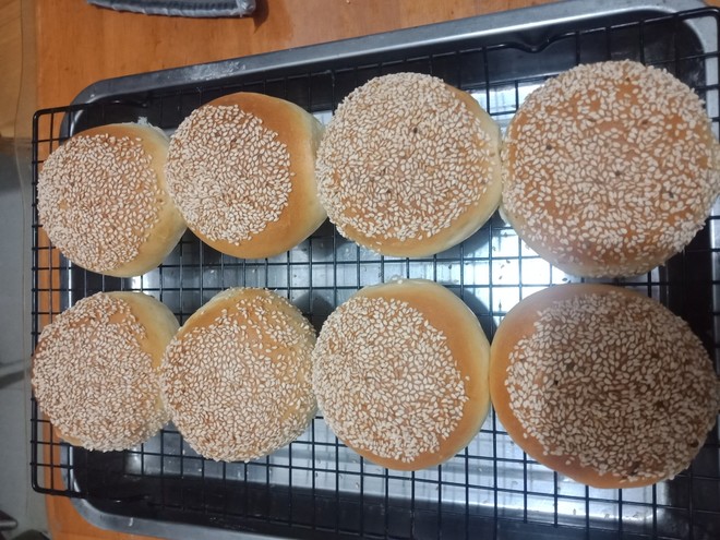 手揉波兰种汉堡面包胚的做法