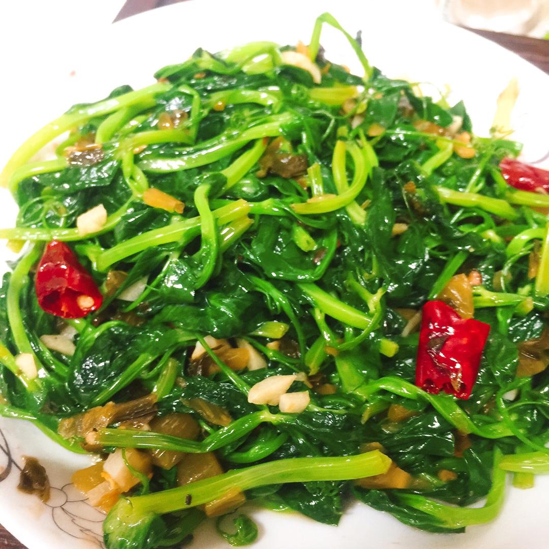 素菜 清炒豌豆尖 闪闪j做的清炒豌豆尖  赞 豌豆尖,盐,植物油,蔬菜