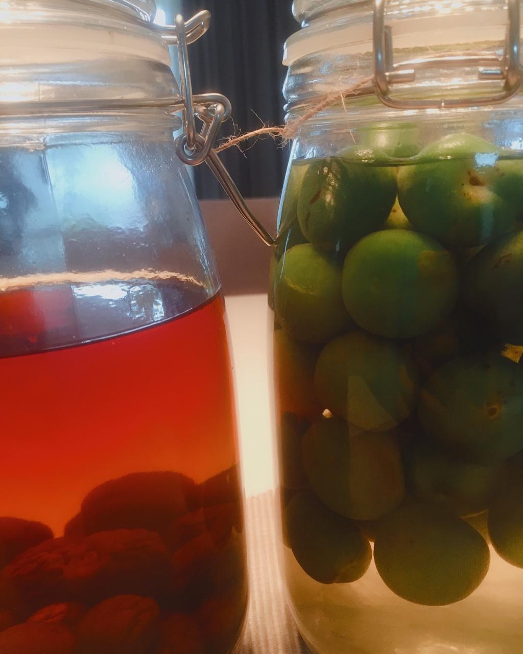 风和日丽v做的【青梅酒】梅子的沉醉时光