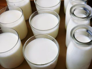 自制兰雀酸奶的做法 步骤7