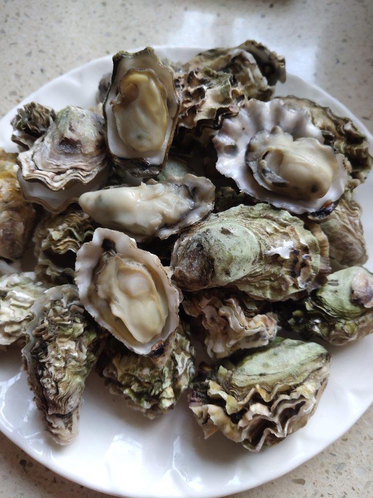 林彤-彭豆美食做的清蒸生蚝