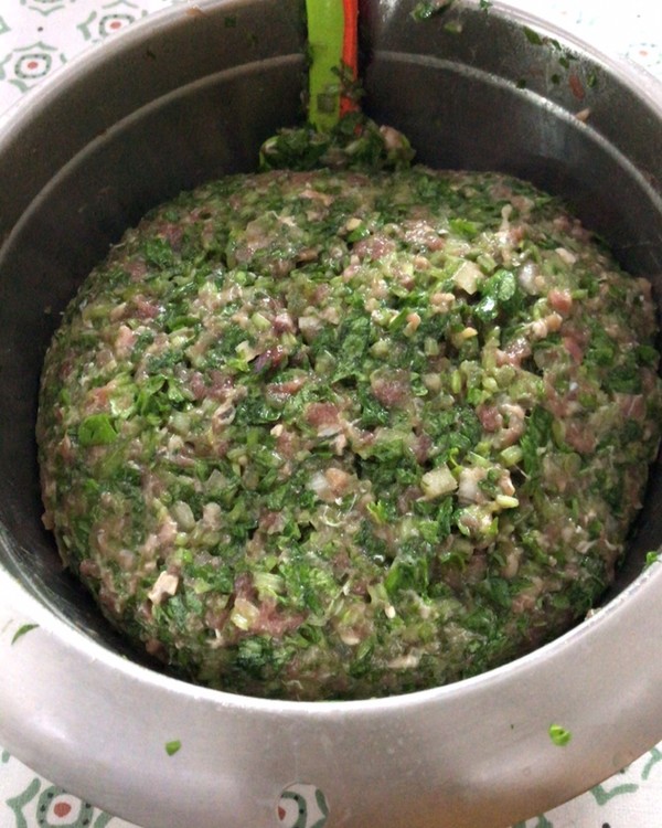 饺子 芹菜牛肉水饺 我爱厨房maria做的芹菜牛肉水饺