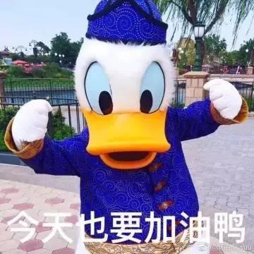 加油鸭