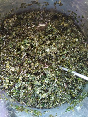 古法——艾草薄荷膏的做法 步骤4