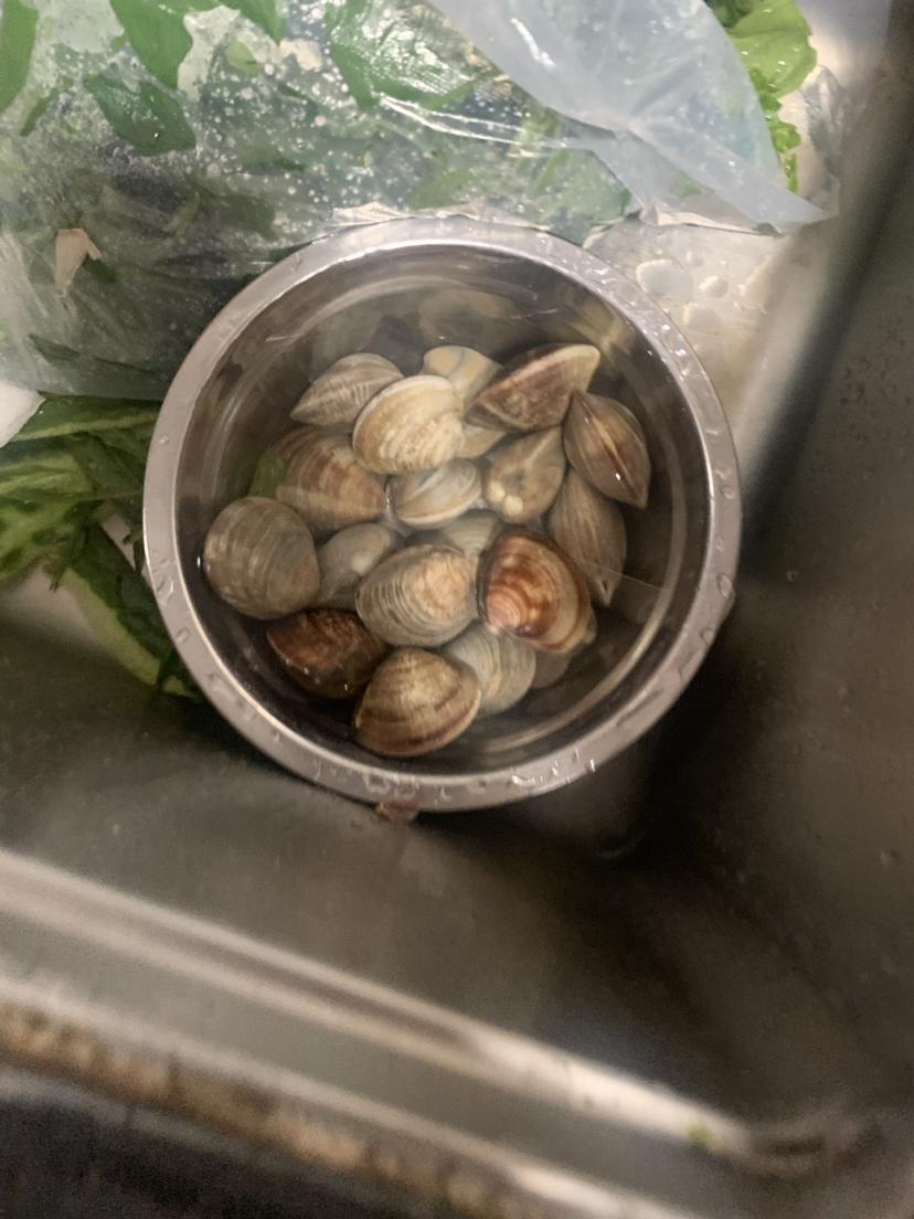 冬瓜木耳香菜减肥汤三天情况报告(丝瓜炒海白)