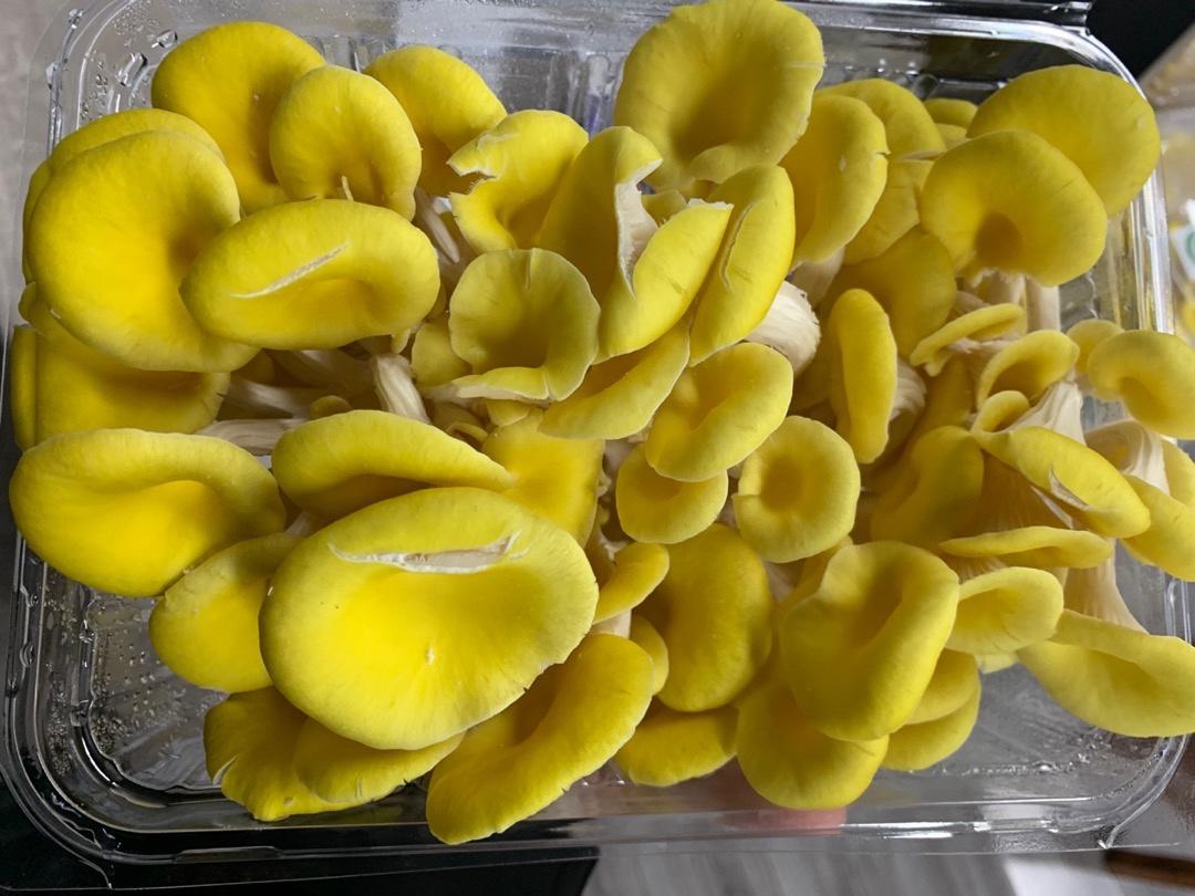 超滑嫩火腿黄金菇的做法 步骤1