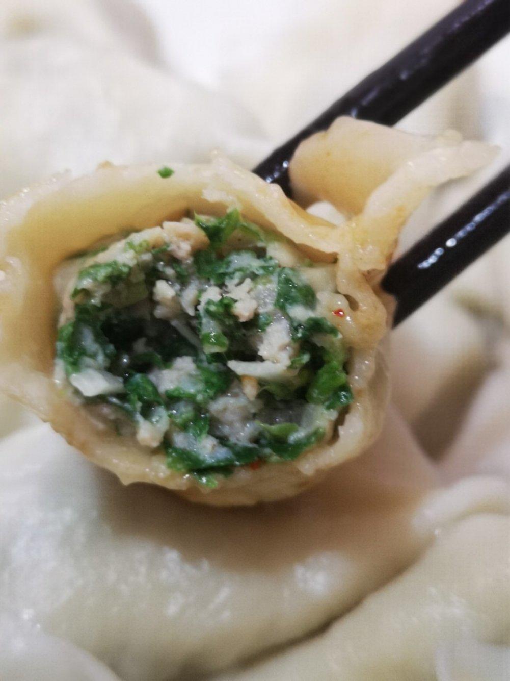 sucui做的荠荠菜饺子