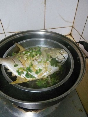 青蒸金宝宝的食谱做法鲳鱼-46岁图片