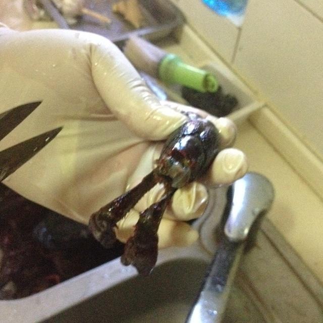 小龙虾的清洗的做法 步骤8