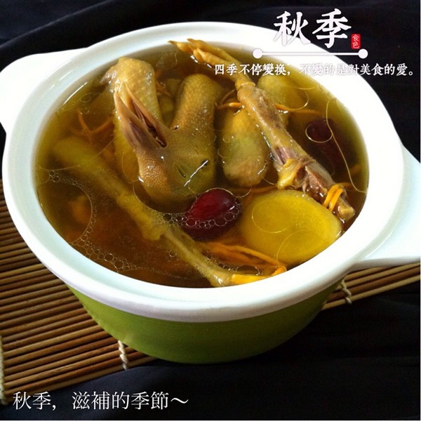 壁纸菜窝做的乳鸽章鱼丫丫汤一张当归手机红色黄芪图片
