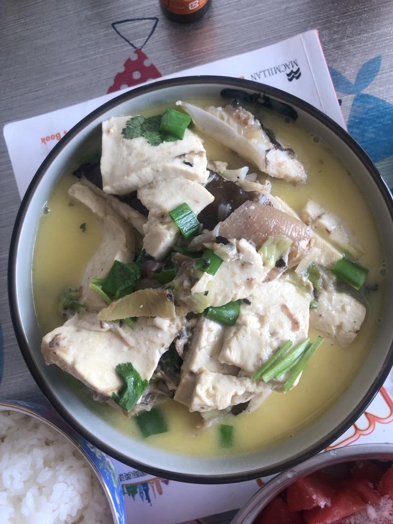 老板鱼炖豆腐的全部作品