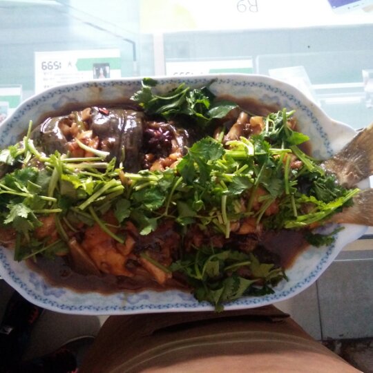dy11012做的家常炖鱼 啤酒鱼