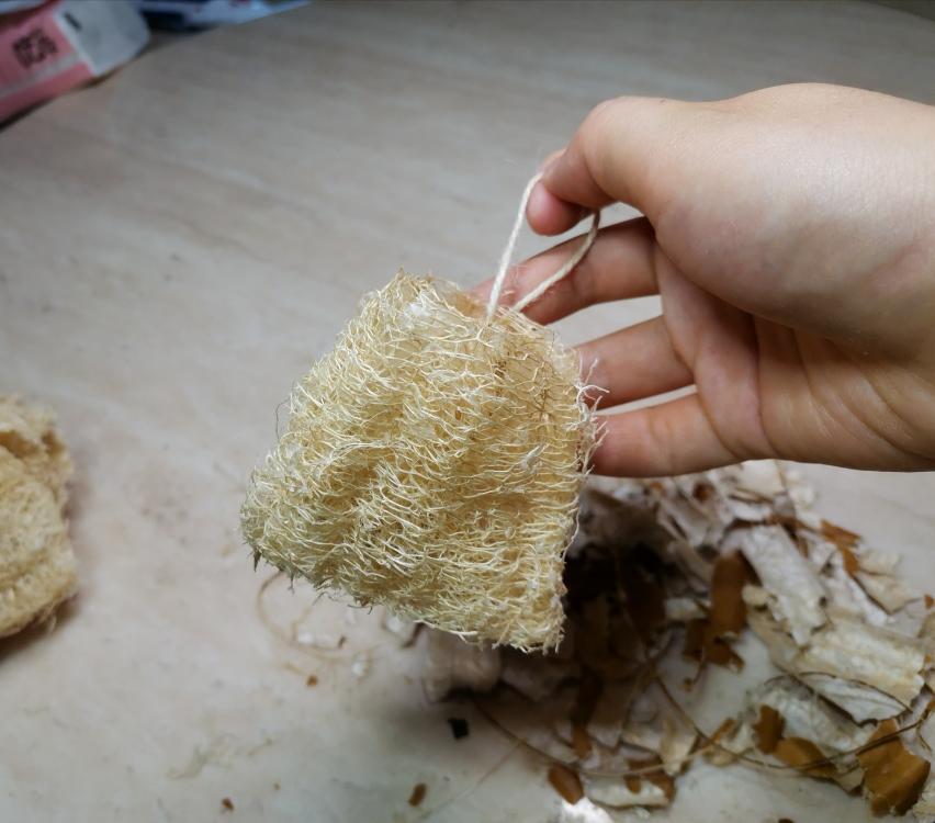 自制丝瓜络洗碗刷