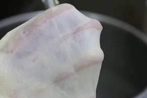 汉堡胚一次发酵的做法 步骤1