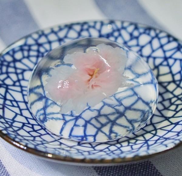 森田卷做的樱花水信玄饼