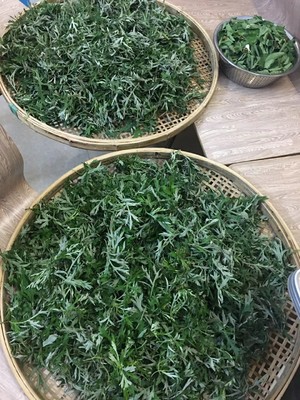 夏天店里蚊子超级多,突发奇想想着尝试自己做个天然蚊子膏。所以就有了纯天然自种自给的艾草和薄荷?艾草薄荷膏的做法 步骤1