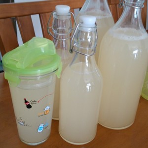 哈密瓜酵素的做法