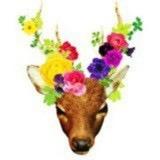 啊呜.jpg 爱整蛋糕滴欢.jpg