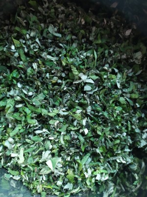 古法——艾草薄荷膏的做法 步骤3