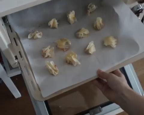 脆皮馄饨的做法 步骤3