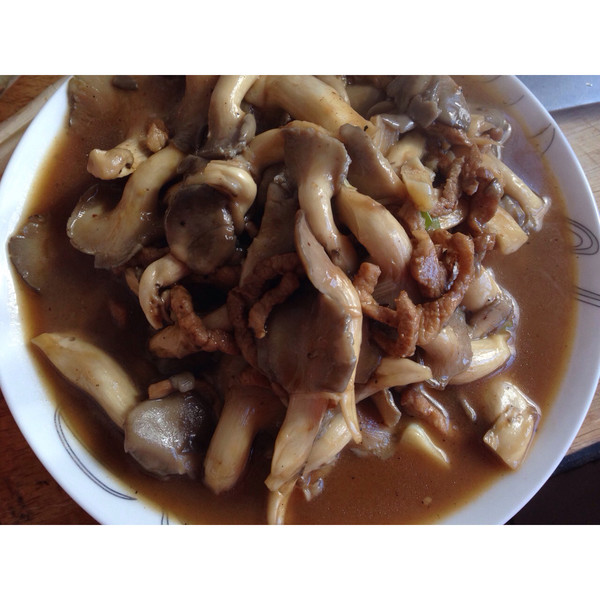 小小溪v做的平菇炒肉俩月的猫能吃鸡胸肉吗图片