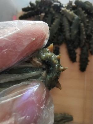 超快速海参泡发方法的做法 步骤4