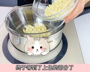 仿真柠檬—法国母校同门大师兄水果哥Cédric 配方的做法 步骤8