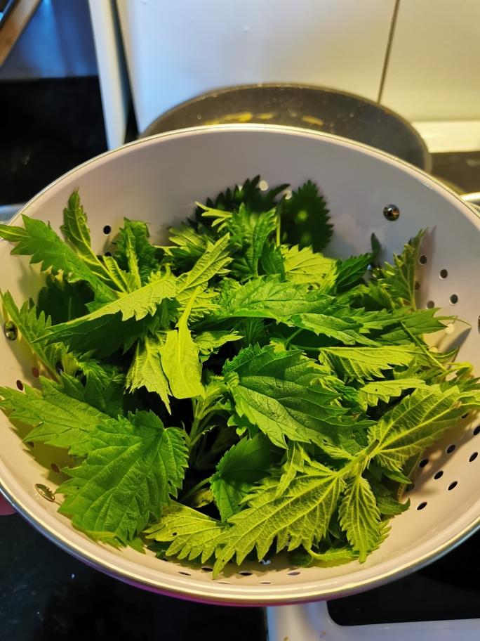 鲜嫩可口凉拌荨麻