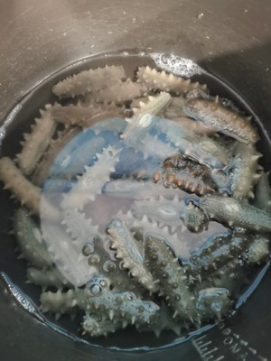 超快速海参泡发方法的做法 步骤5