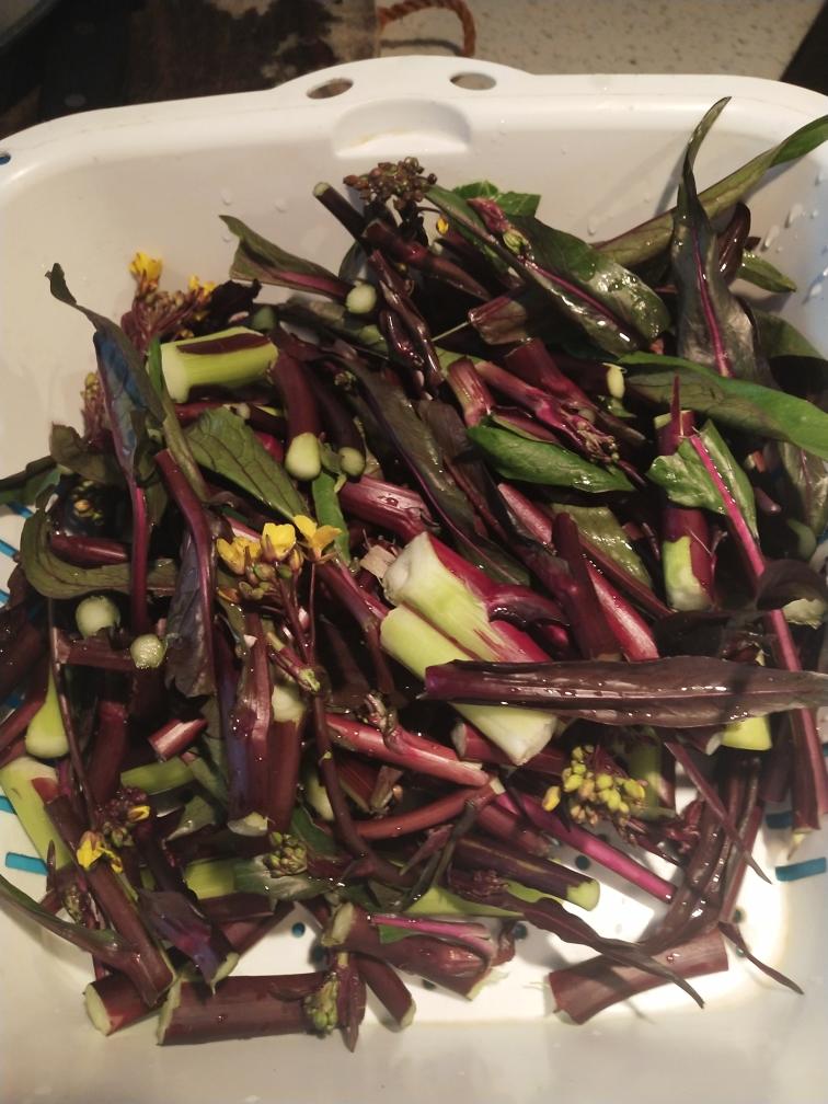 红菜柳炒腊肉