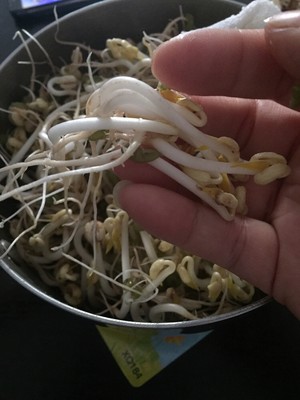 绿豆芽的做法 步骤4