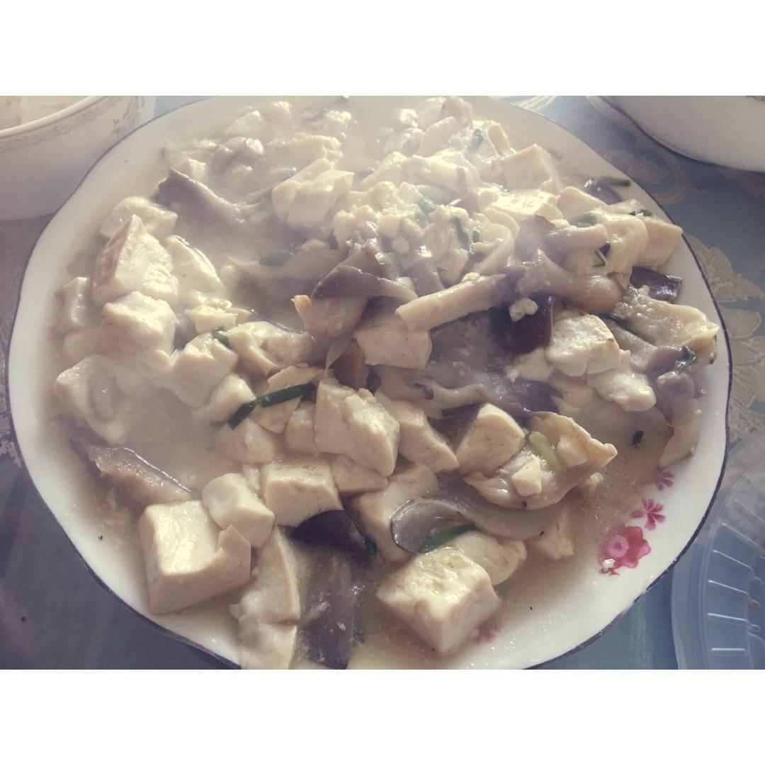 honey-jing-做的平菇烧豆腐