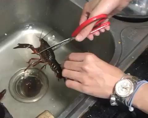 清洗小龙虾的做法 步骤1