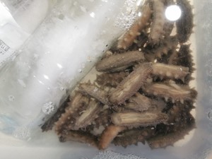 超快速海参泡发方法的做法 步骤7