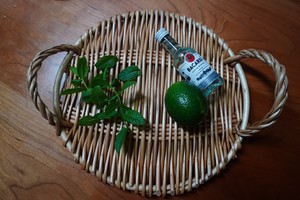 夏日Mojito吐司|80%全麦无油无糖的做法 步骤1
