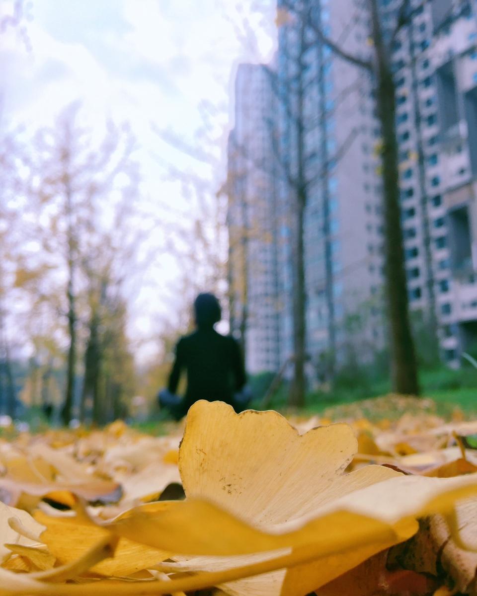 胖燕儿下厨房做的无处安放