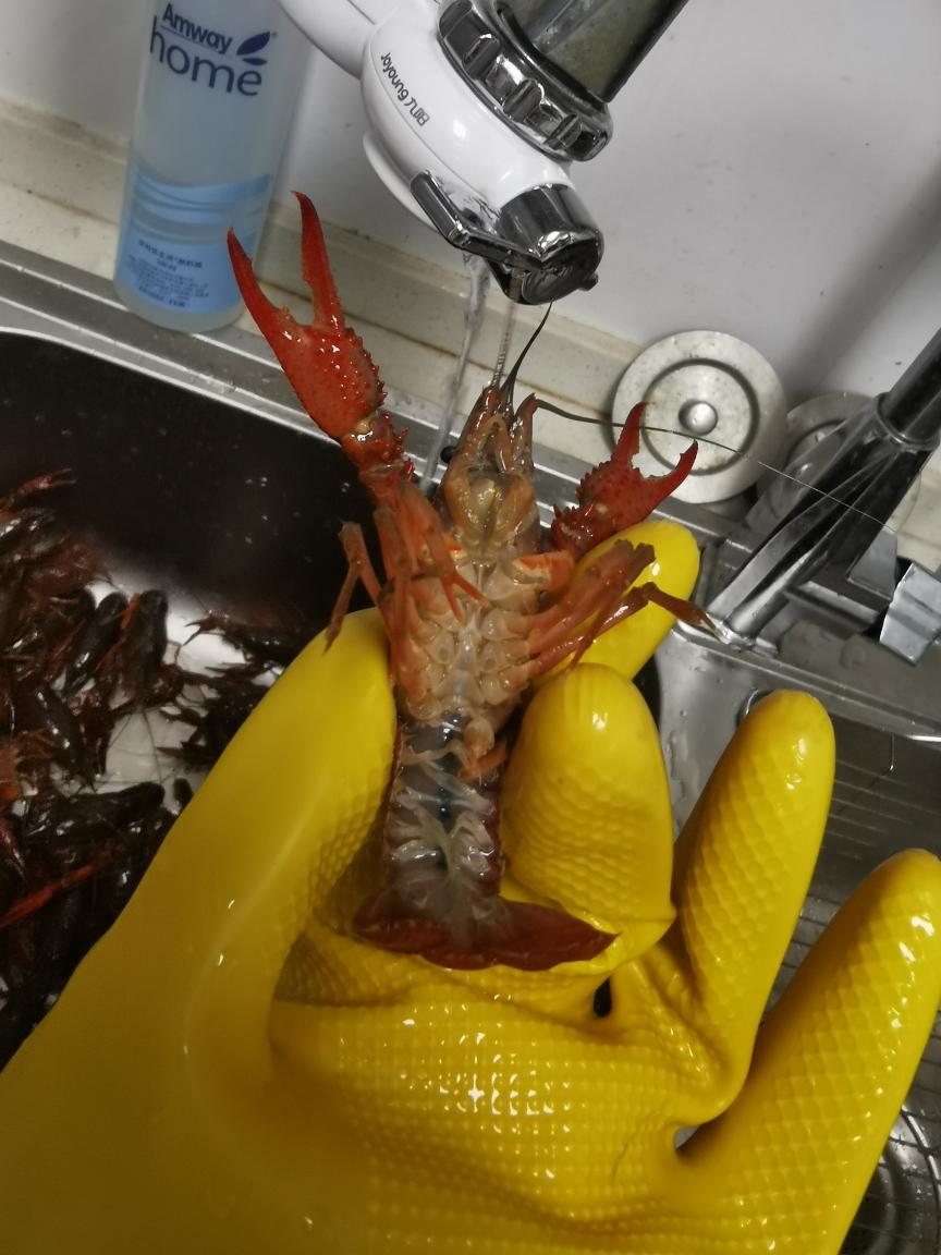 海底捞版零失败麻辣小龙虾！！！！的做法 步骤4