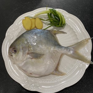 快手 烤金鲳鱼—生酮搭配高脂饮料的做法 步骤1