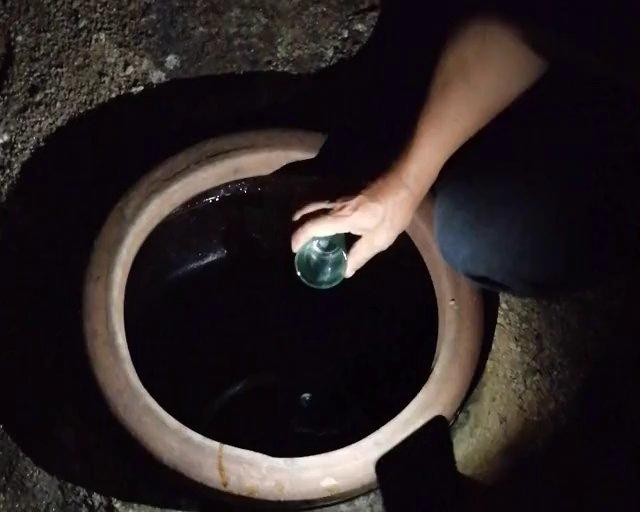 【杨梅酒】因此配方酒厂老板每年卖出几千斤杨梅酒。