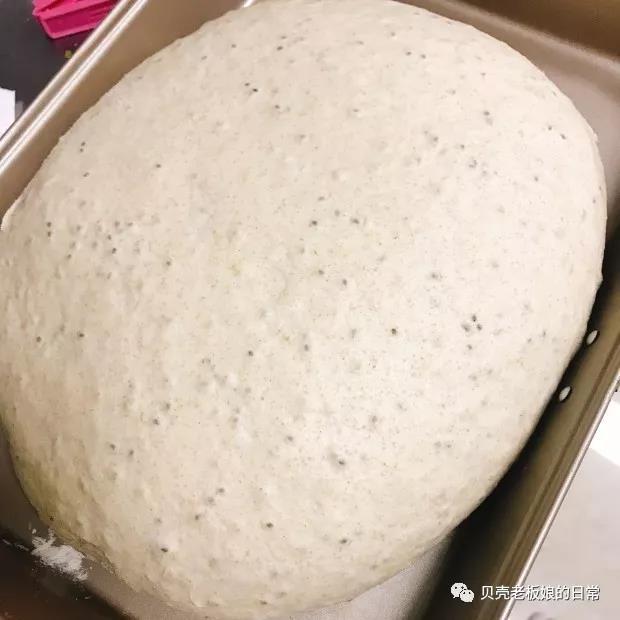 【奇亚籽黑麦包 | 爱上低糖低油的杂粮包的做法步骤图】贝壳烘焙-制作