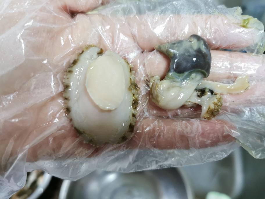 姐姐妹妹の番茄小碗装鲍鱼~小朋友轻松吃完一整只番茄(可搭配米饭做成捞饭)的做法 步骤6