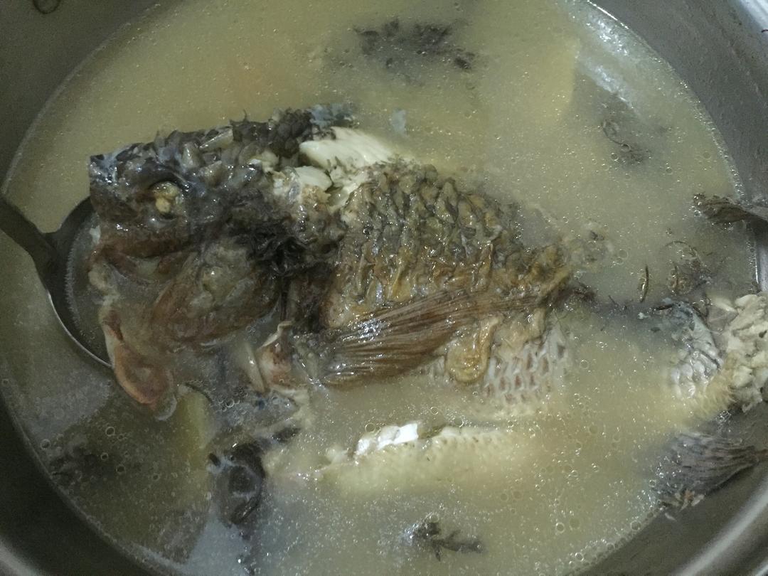 绵茵陈煲鲫鱼